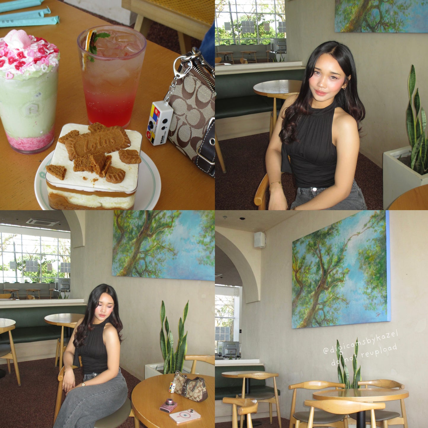 Canon Ixy 100F | boxed