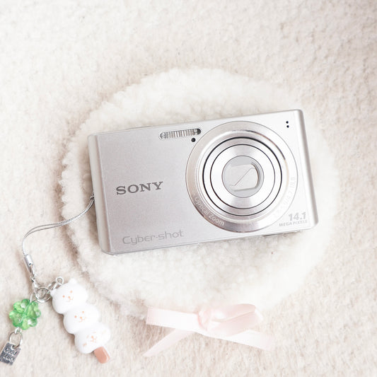 Sony CyberShot DSC-W610