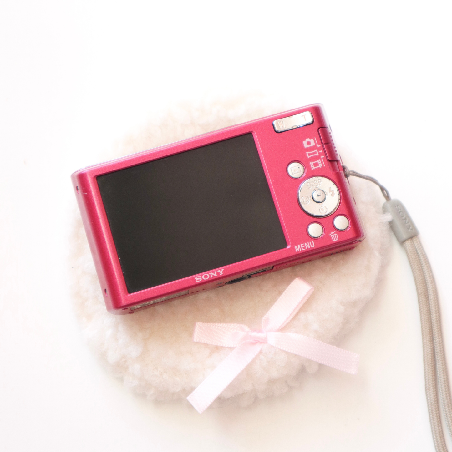 Sony CyberShot DSC-W830