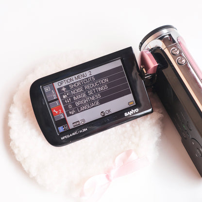 Sanyo Xacti DMX-GH1
