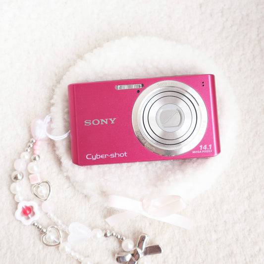Sony CyberShot DSC-W610