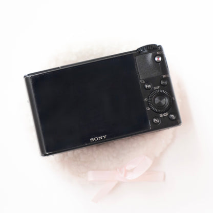 Sony CyberShot DSC-RX100 mark i