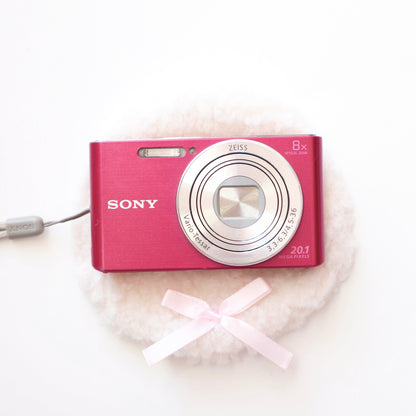 Sony CyberShot DSC-W830